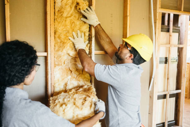 Professional Insulation Contractor in Galatia, IL