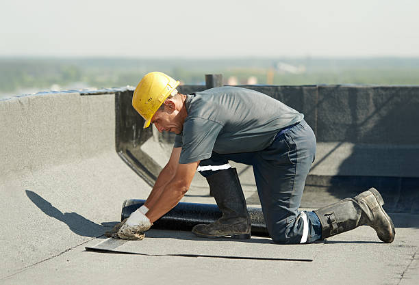 Best Fiberglass Insulation  in Galatia, IL